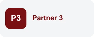 Partner 3