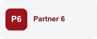 Partner 6